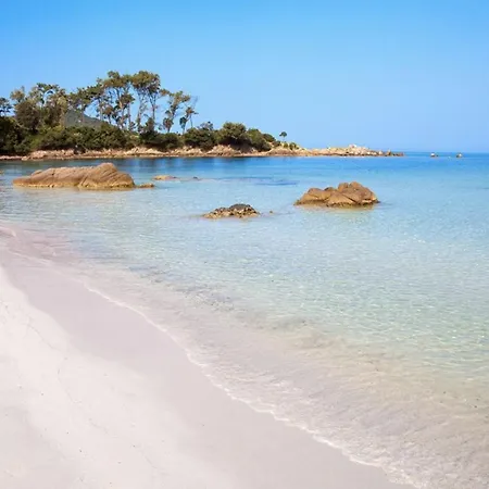 Les Calanques Route Des Sanguinaires- Piscine - Parking & Wifi Gratuit - アパート アジャクシオ