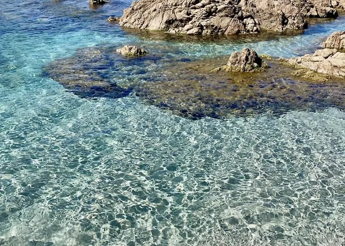 T2 Avec Piscine Chauffee - Vue Exceptionnelle Sur La Mer - Parking & Wifi - Plage A 50M * 阿雅克肖