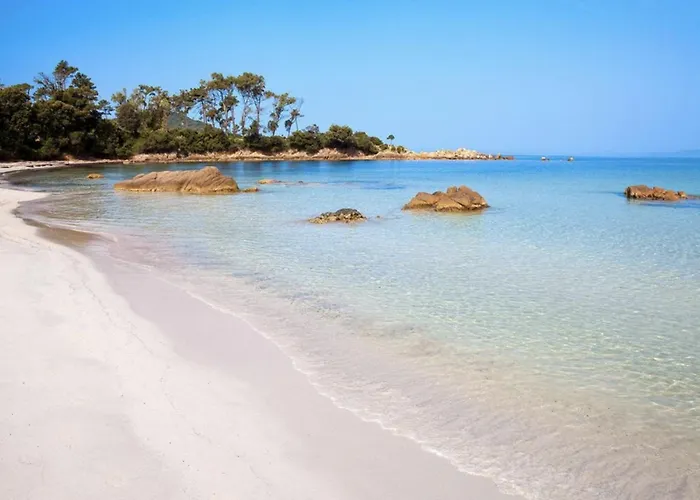 T2 Avec Piscine Chauffee - Vue Exceptionnelle Sur La Mer - Parking & Wifi - Plage A 50M 公寓 阿雅克肖